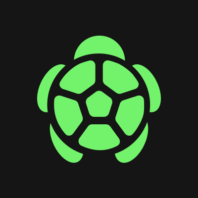 Turtle Logo