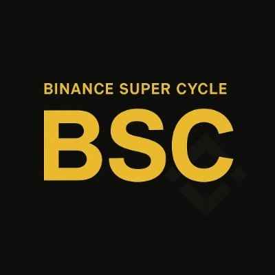 BSC/USDT