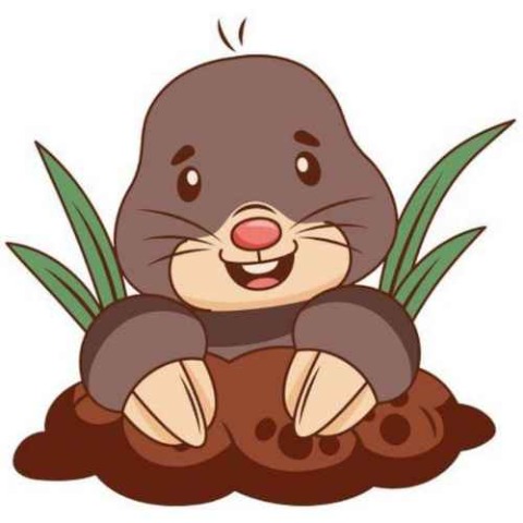 MOLE/USDT